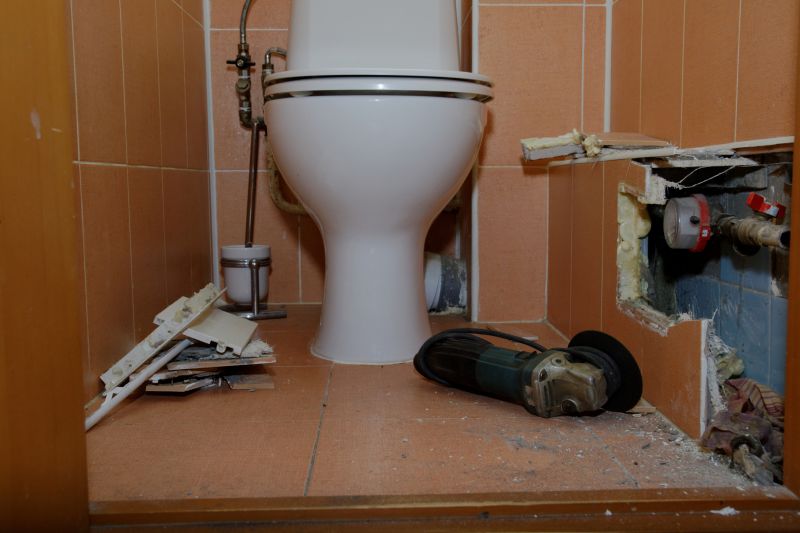 Toilet Repair